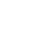 traveller choice
